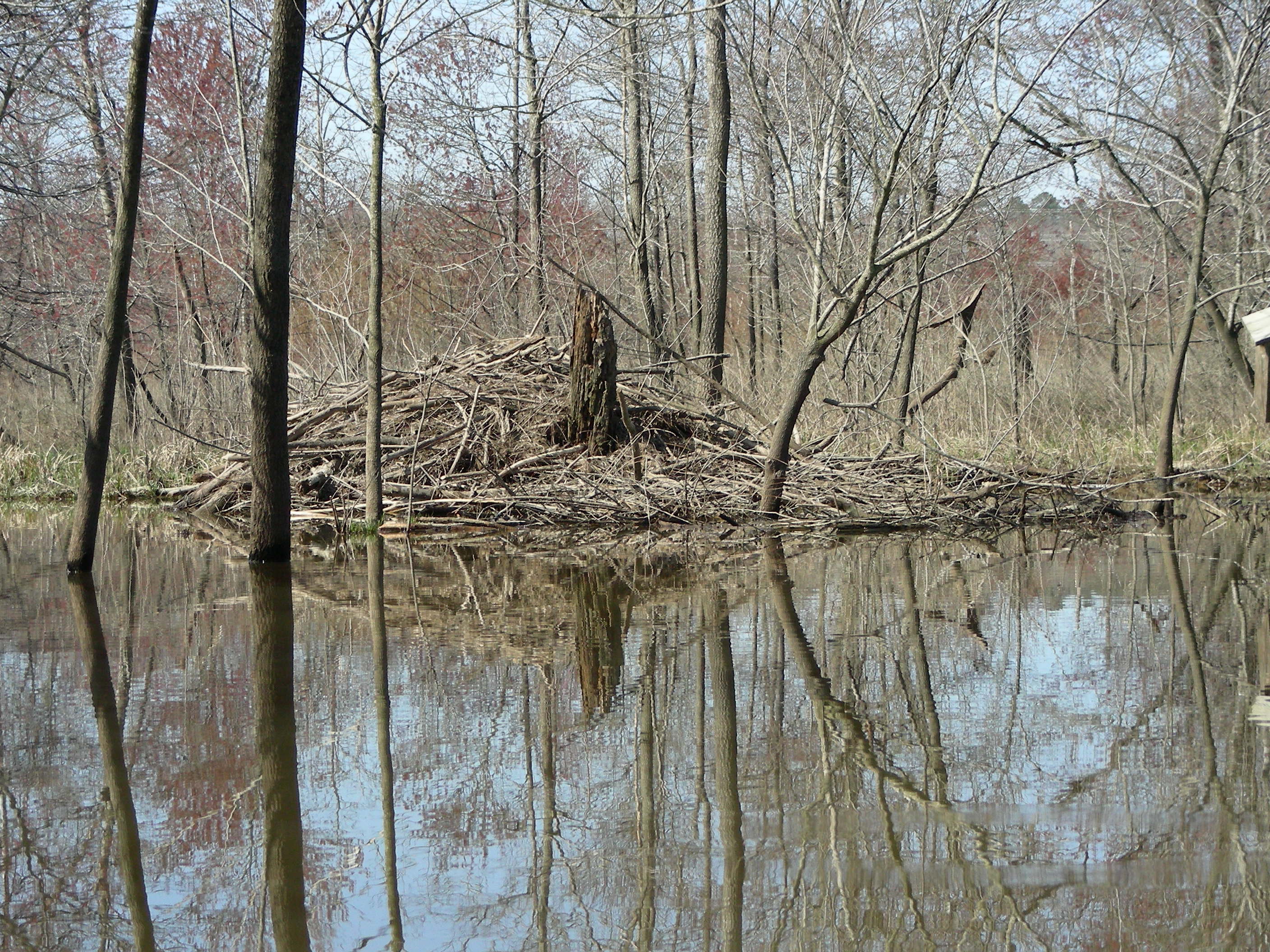 ./2010/Kayaking Falls Lake/DSCN7040.JPG